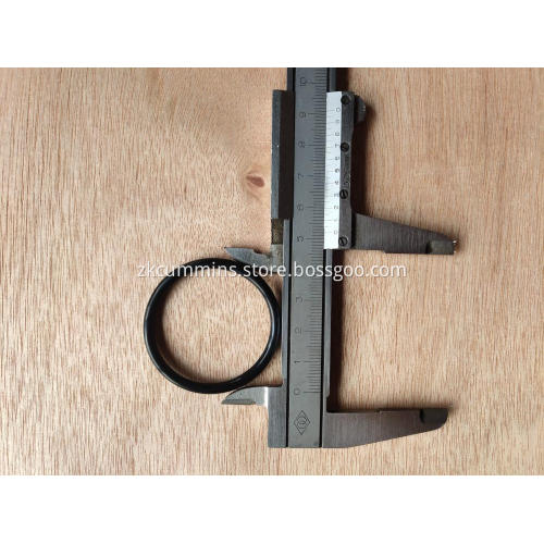 3175545 Cummins O Ring Seal